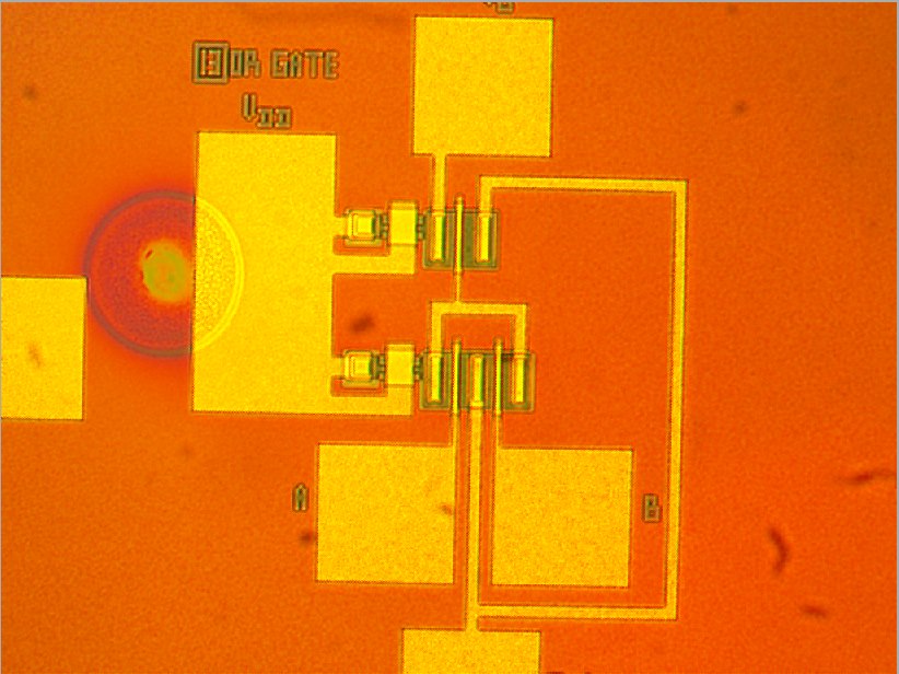 wafer being analyzed