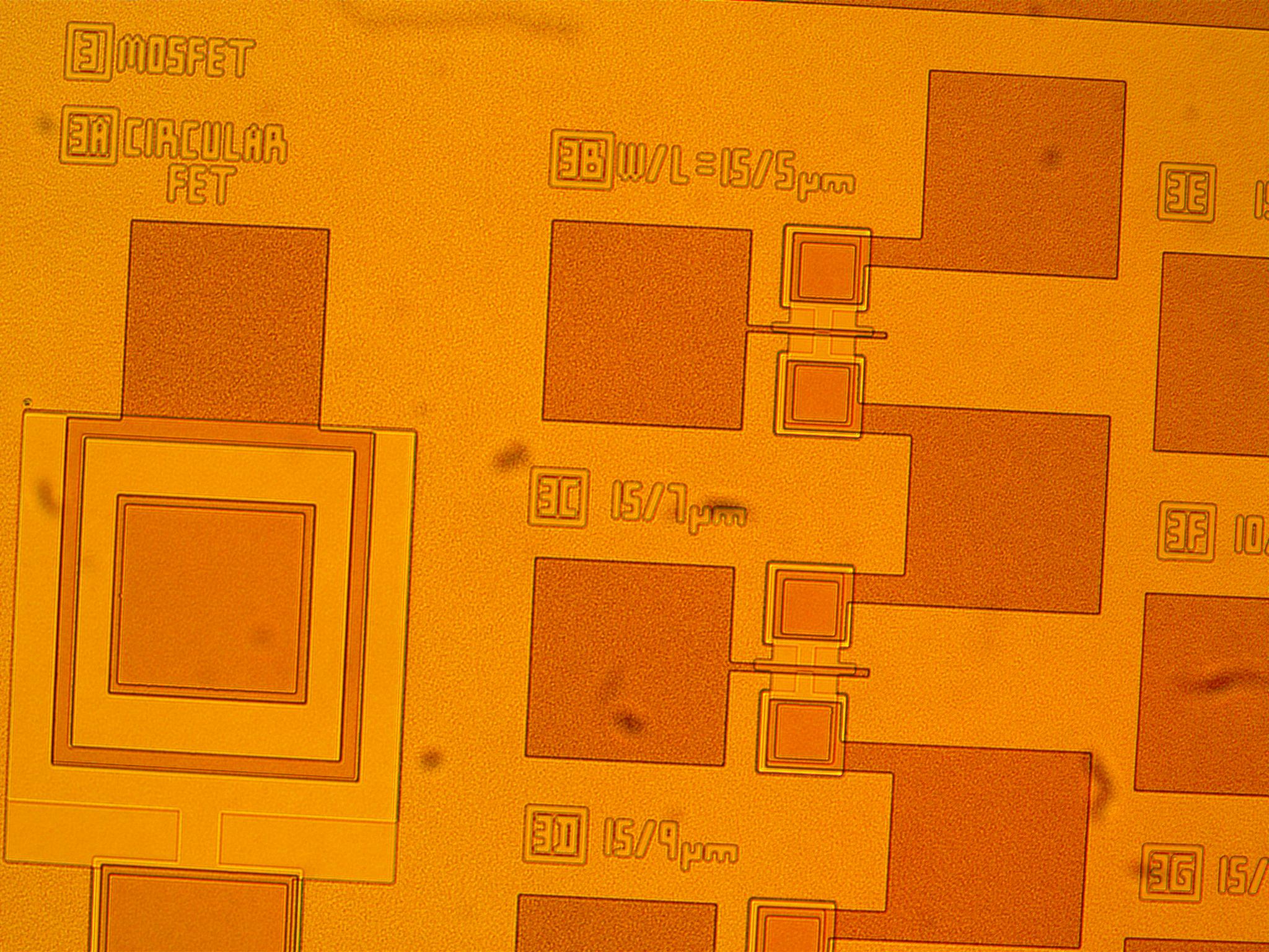 wafer being analyzed